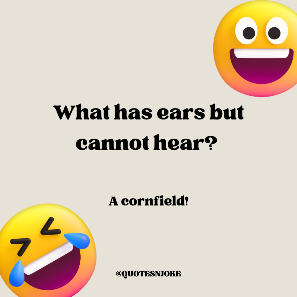 What has ears but cannot hear? A cornfield!
