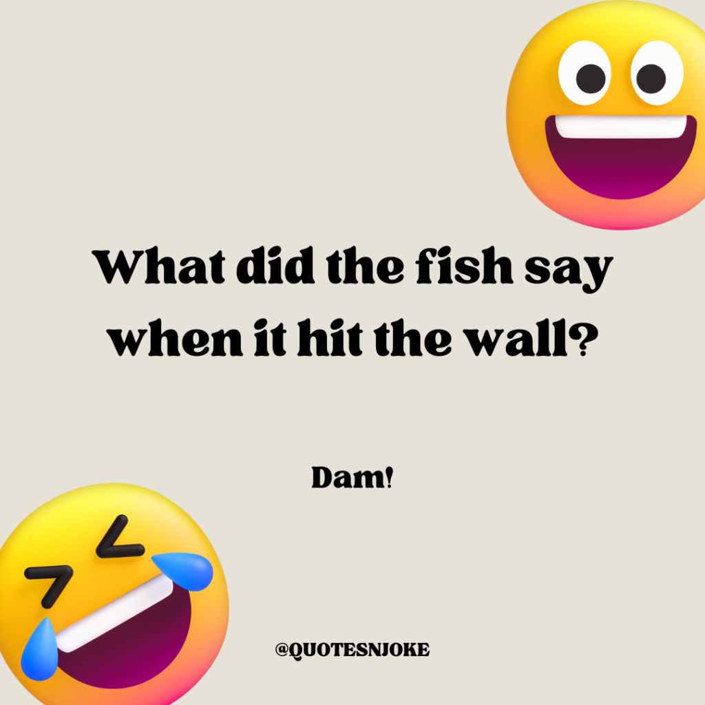 What did the fish say when it hit the wall? Dam!
