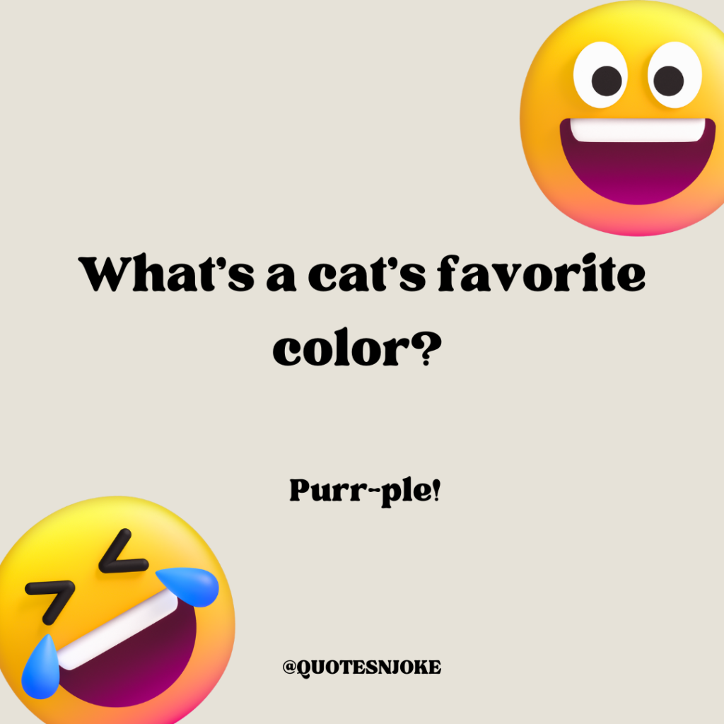 What’s a cat’s favorite color? Purr-ple!
